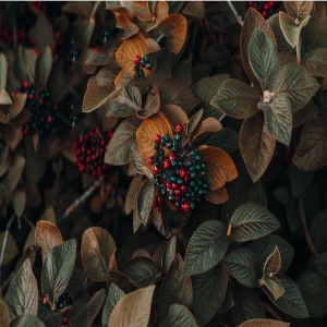 2025-2026年中国服装批发行业发展