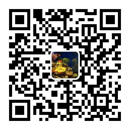 抖音商家入驻需要钱吗,抖音商家如何入驻(图1) mmqrcode1539657600541.png